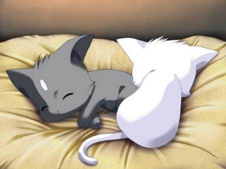 mignon comme tt