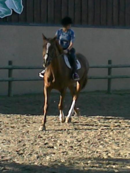 galant et moi